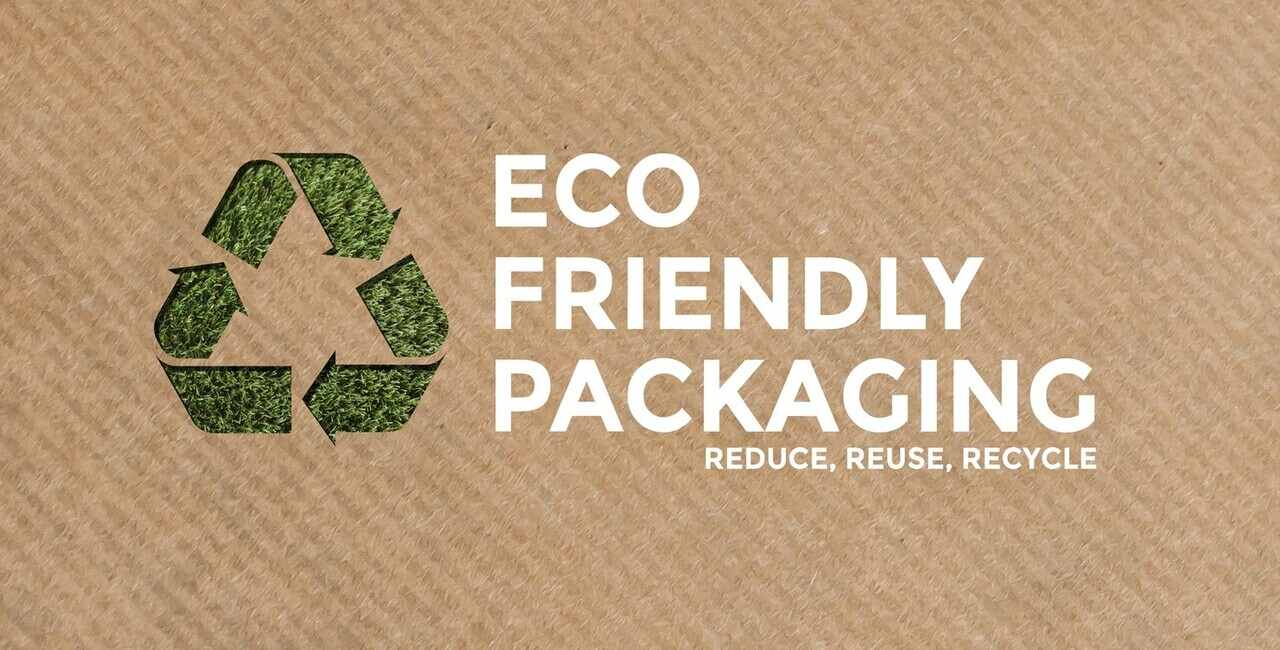 Biodegradable Packaging Solutions Business Plan in Africa